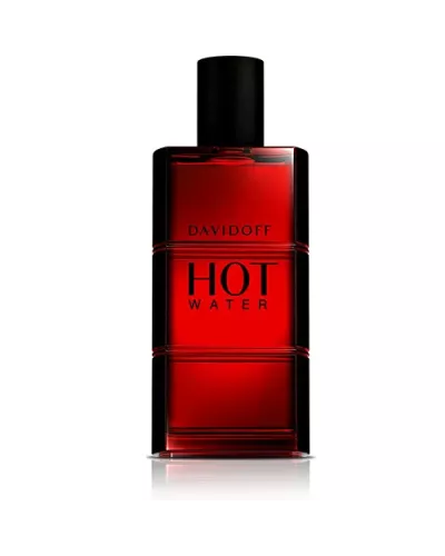 Davidoff Hot Water Eau De Toilette Vaporisateur 110ml