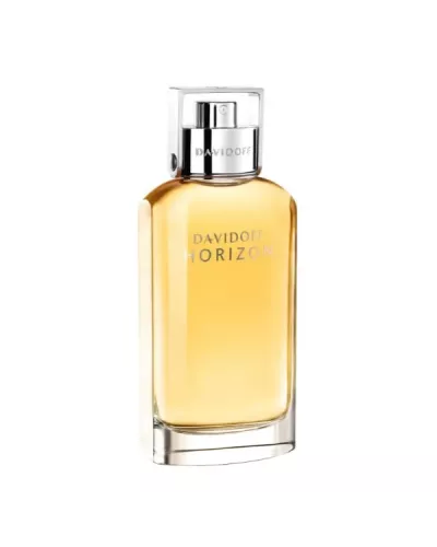 Davidoff Horizon Eau de Toilette Spray 125ml