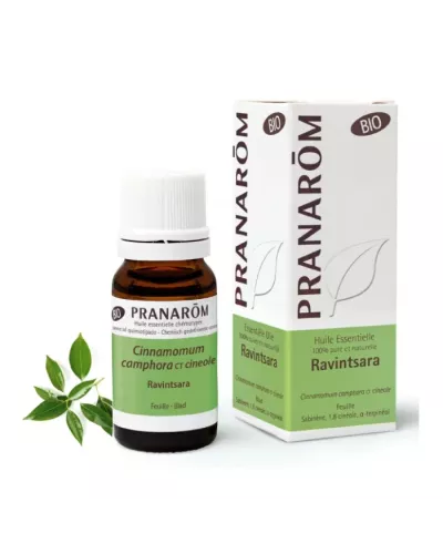 Pranarom Essential Oil Ravintsara 10ml