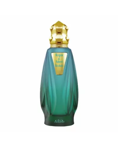 Nabeel Acqua Di Nabeel Absolute Eau de Parfum Spray 100ml