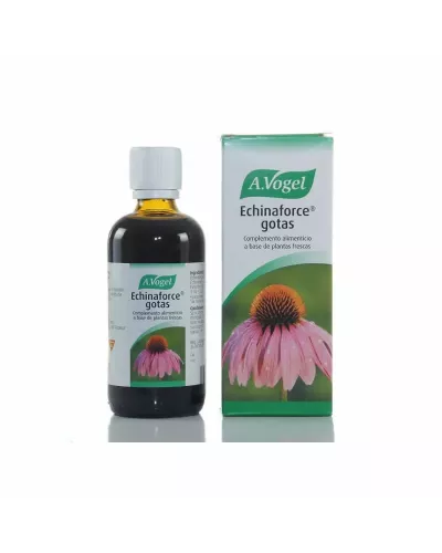 Vogel Echinaforce 100ml