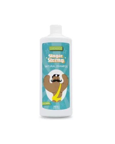 Valquer Ginger Ginger Strong Shampoo 1000ml