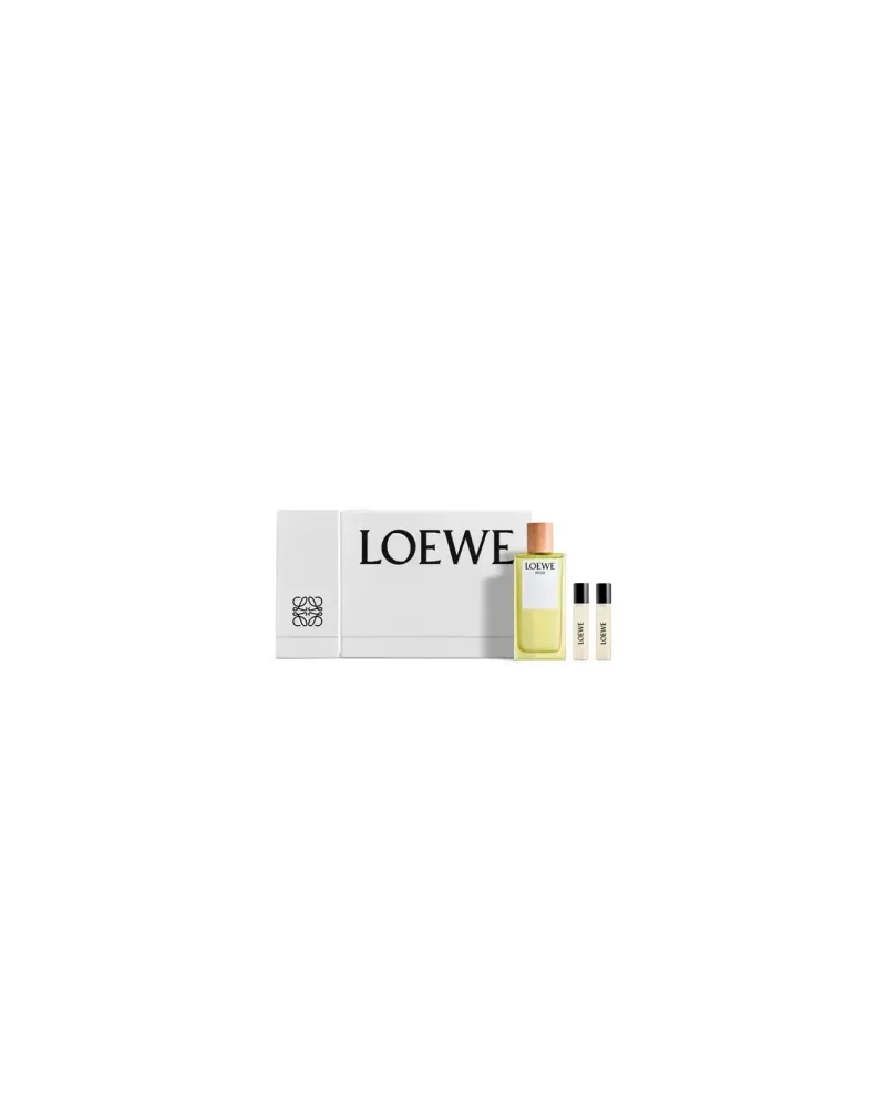 Loewe Agua Edt Spray 100ml Nav24 Sets