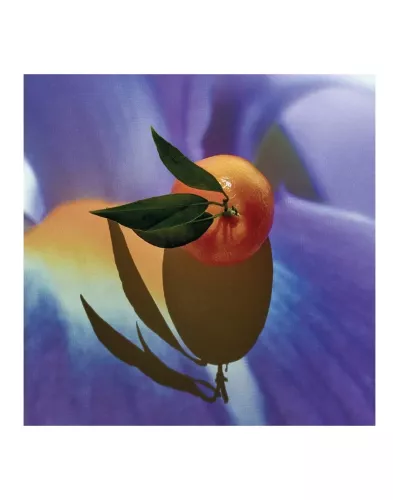 Loewe Solo Elixir 50 Vap M