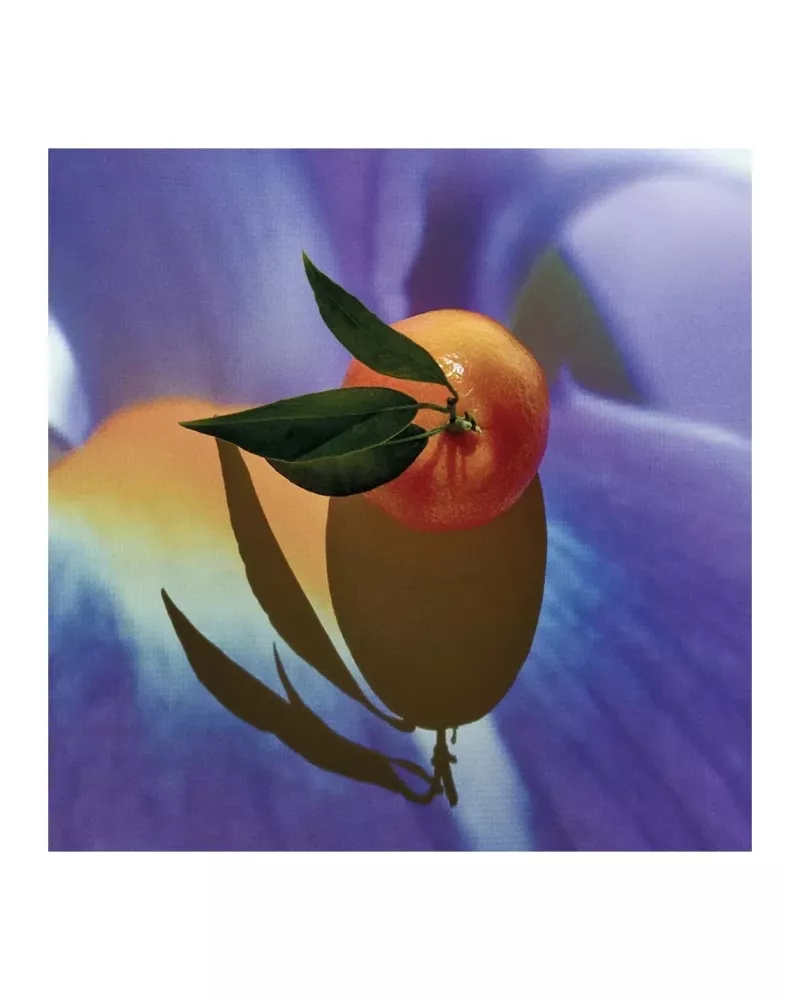 Loewe Solo Elixir 50 Vap M