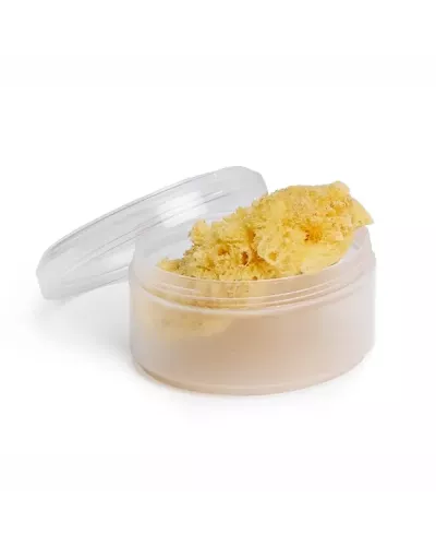 Suavinex Medium Natural Sponge