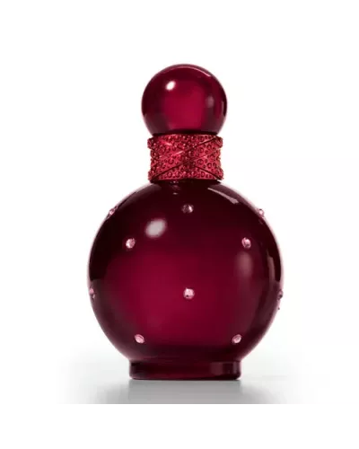 Britney Spears Hidden Fantasy Eau De Parfum Vaporisateur 100ml
