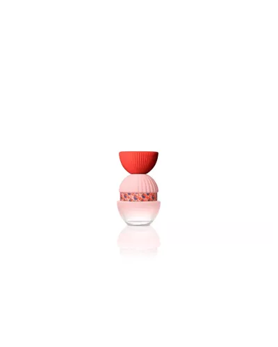 El Ganso Fun y Chic Edp 100 Spray