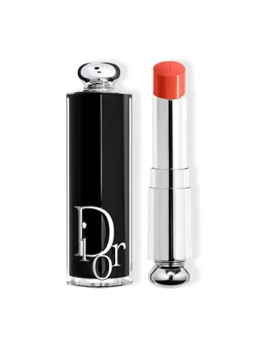 Dior Addict Lipstick Rouge à lèvres 744 1un