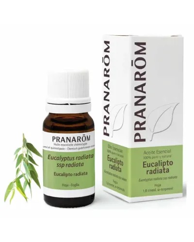 Pranarom Eucalyptus Radiata Essential Oil 10ml