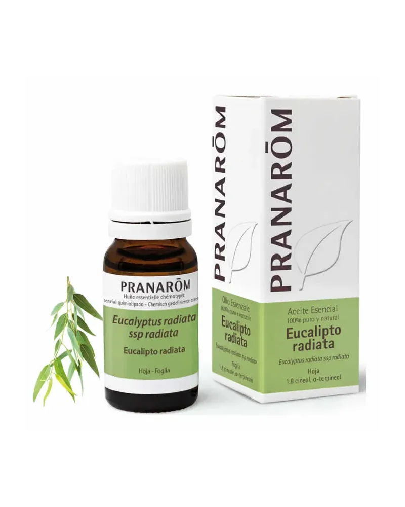 Pranarom Eucalyptus Radiata Essential Oil 10ml