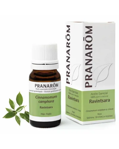 Pranarom Aceite Esencial Ravintsara 10ml