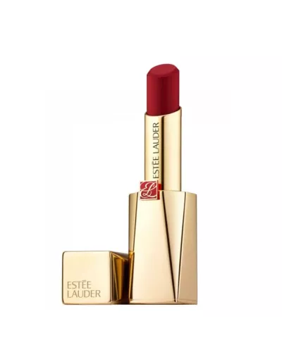 Estee Lauder Pure Color Desire Matte Lipstick 314 Lead On