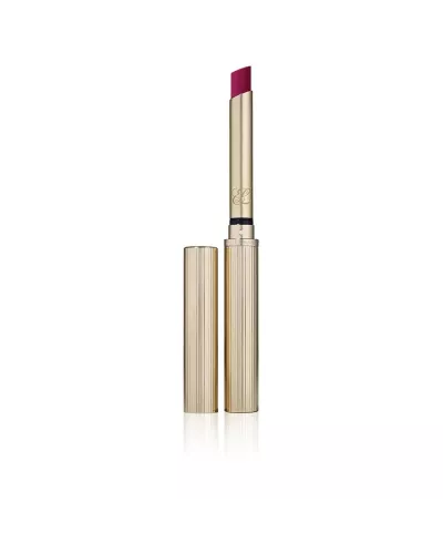 Estée Lauder Pure Color Explicit Matte Rouge à lèvres 302-Want Me 7g