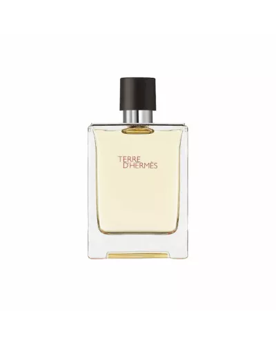 Hermes Terre D'Hermes Eau De Toilette Vaporisateur 100ml