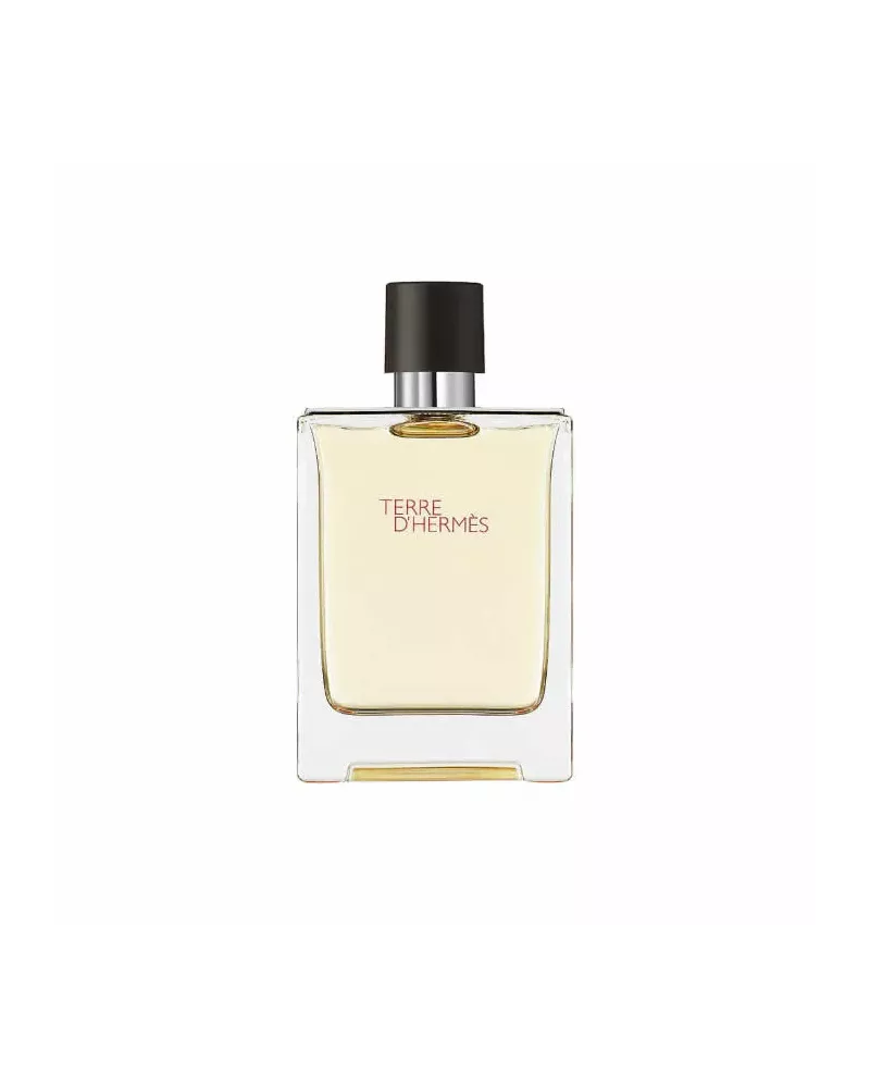 Hermès Terre D'Hermès Eau de Toilette Vaporizador 100ml