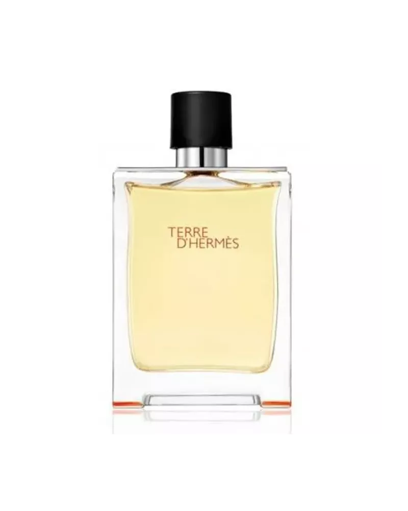 Terre D'Hermès Eau de Toilette Vaporisateur 50ml