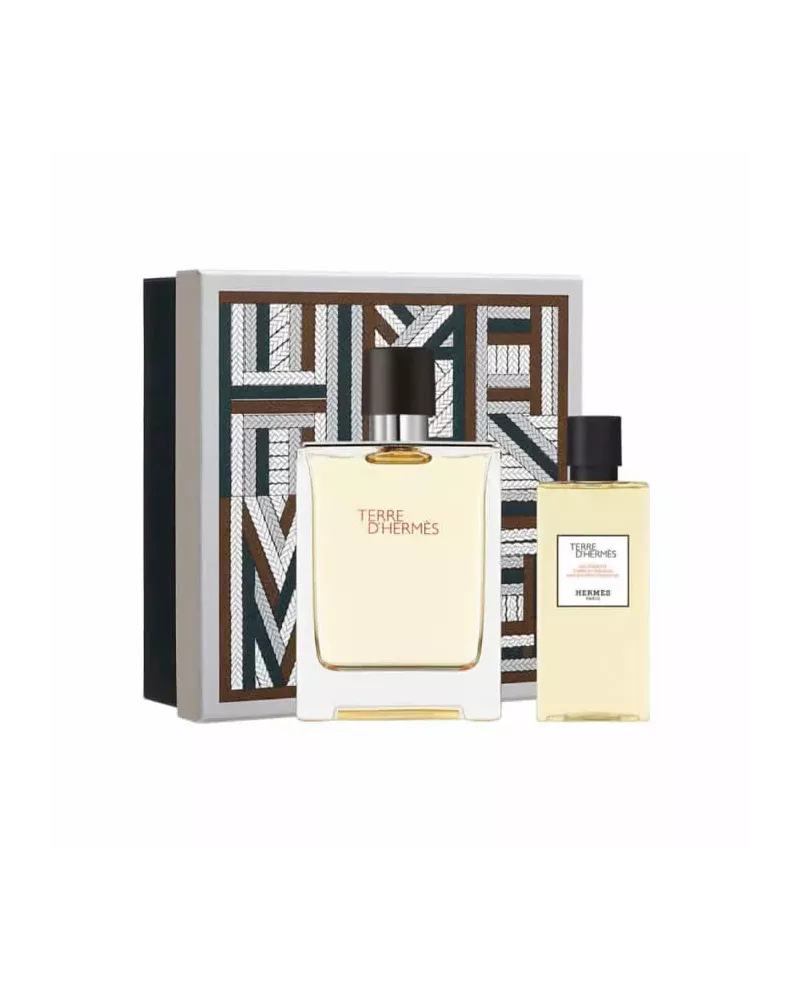 Hermès Terre D'Hermès Eau de Toilette Spray 100ml Gift Set with 2 Products