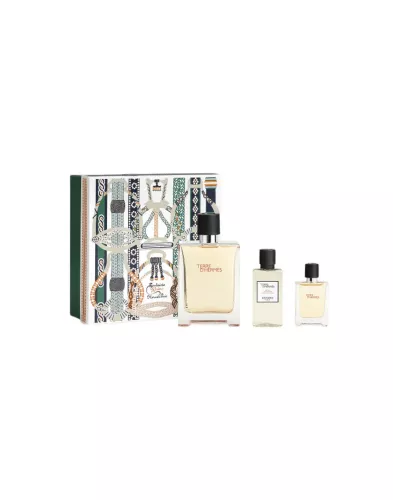 Hermès Hermes Terre Edt Spray 100ml Sets