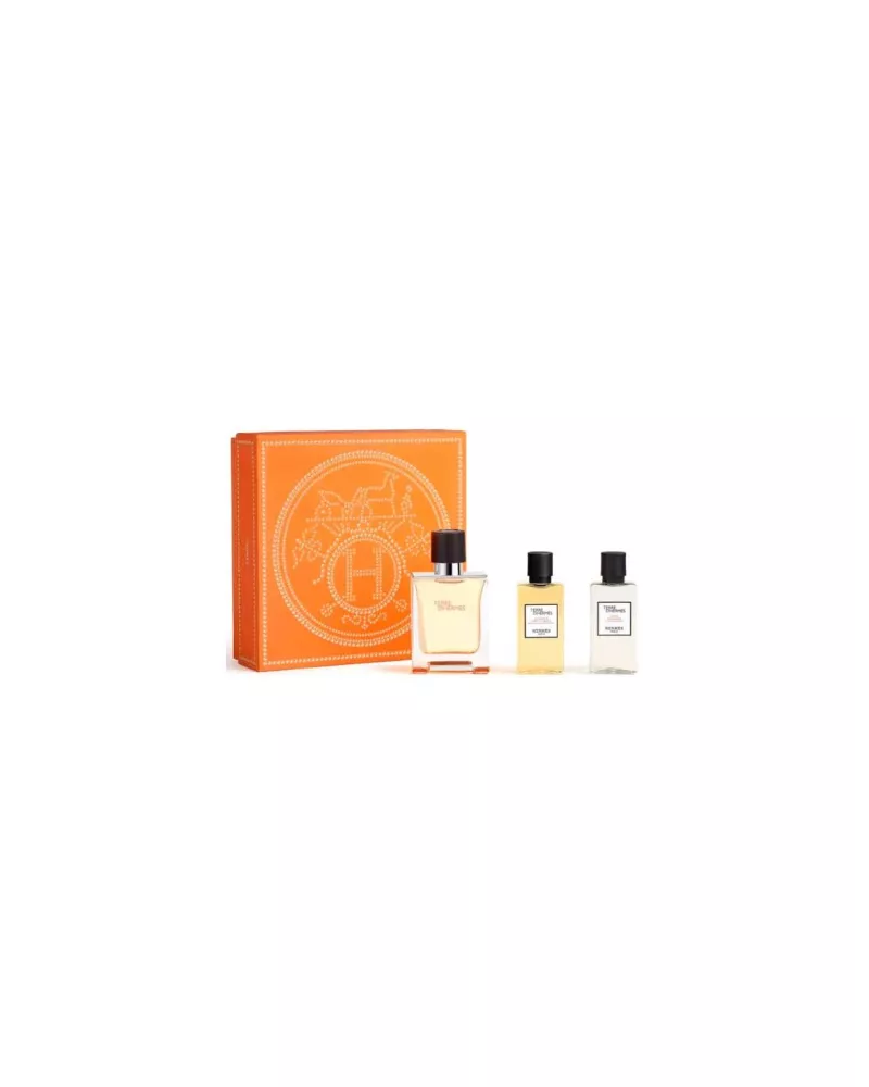 Hermès Terre D'hermes e T 50 Spray Gel40 Ash40